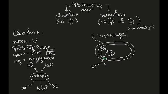 Умные Развлечения