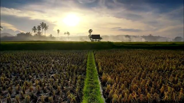 Kumpulan Lagu Lawas Sasak Lombok Tahun 90an Bikin Kangen Masa Lalu смотреть онлайн