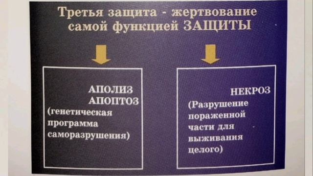 Гомеопатия