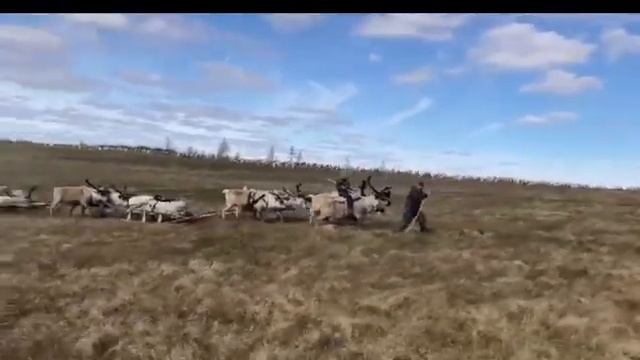 «Хоктов» - «Моя дорога» смотреть онлайн