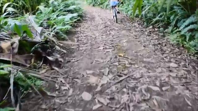 Bike Ride Around Denis Island, Seychelles смотреть онлайн