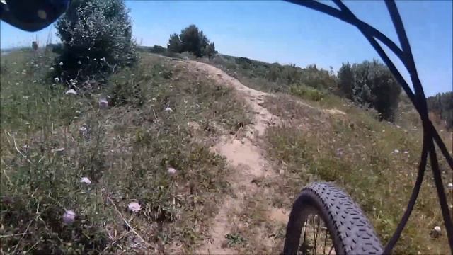 Downhill Amateur !! Focus Black Forest 2014 !! Freeride bike смотреть онлайн