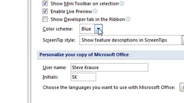 How-To Change the Outlook 2007 Theme Color смотреть онлайн