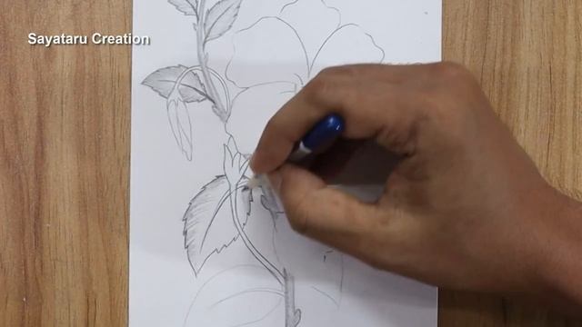 How to draw a hibiscus flower step by step pencil sketch | China rose Drawing for beginners смотреть онлайн