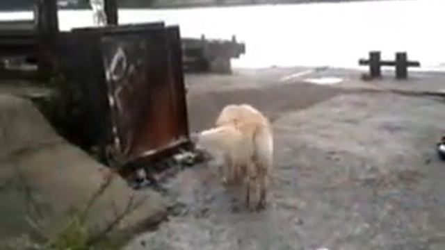 рейка смотреть онлайн