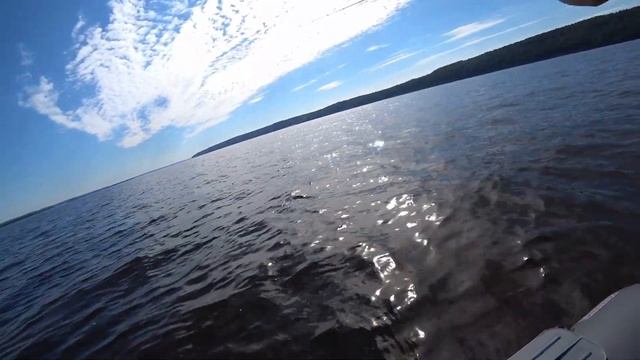 Ловля СУДАКА с лодки на джиг. Река Волга.Fishing for zander on the Volga river. смотреть онлайн