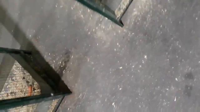 Зоопарк около ТРК Арена в Воронеже смотреть онлайн