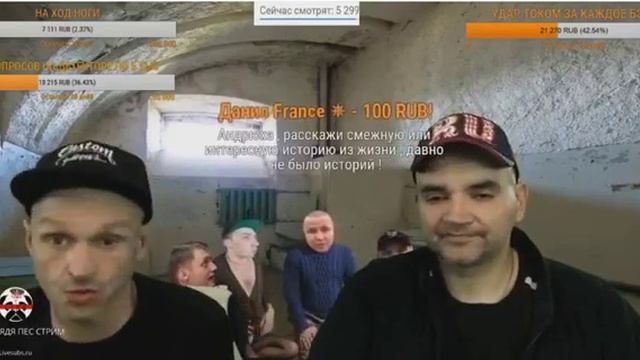 ИСТОРИЯ ОТ МОПСА КАЧКА смотреть онлайн