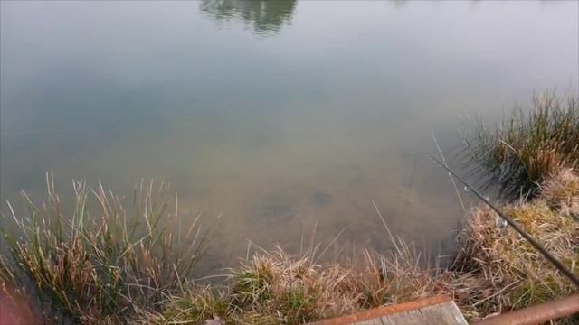 Ия Кларк. Рыбалка с нахлыстом на форель в Англии. Жизнь в Великобритании. смотреть онлайн