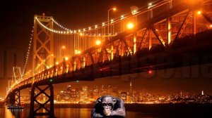 Самое высокое качество видео