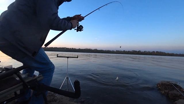 Астрахань. Река Бузан. Ловля на фидер смотреть онлайн