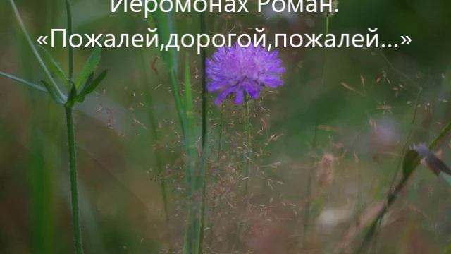 Иеромонах Роман. 