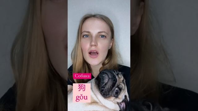 СОБАКА ? На Китайском Языке #shorts смотреть онлайн