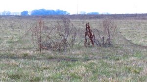 Ловля певчих птиц тайником ,путанкой.Щеглы,Реполовы.