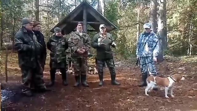 Новогрудские открытые состязания Эстонских гончих памятиС.П.Тхорева 4 марта 2023 г. смотреть онлайн