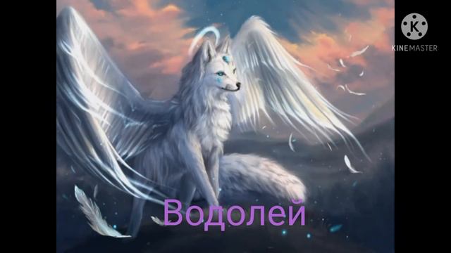 Все типы волков со знаком задиака водолей смотреть онлайн