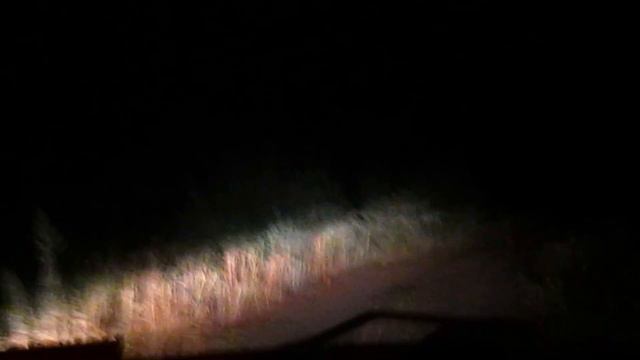 Ночью на машине по просёлочной дороге смотреть онлайн