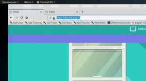 Как узнать IP любого сайта с помощью Kali Linux