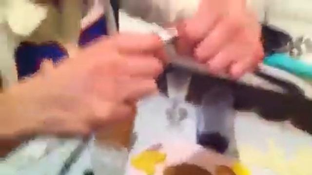 Парящие вилки смотреть онлайн