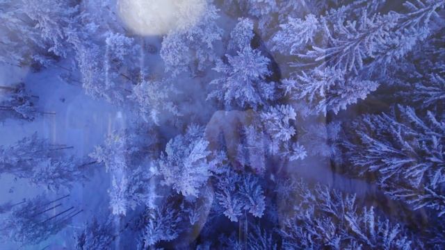 Сейчас моей ДОЧЕРИ было бы 20 лет, лучше бы я ушла вместе с ними смотреть онлайн