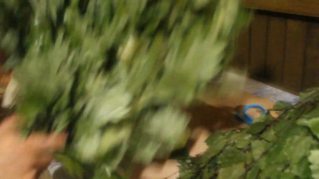 Мягкое парение в русской бане смотреть онлайн