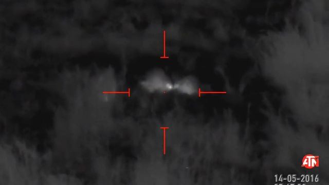 Индийский Дикобраз в горах Тянь-Шаня смотреть онлайн