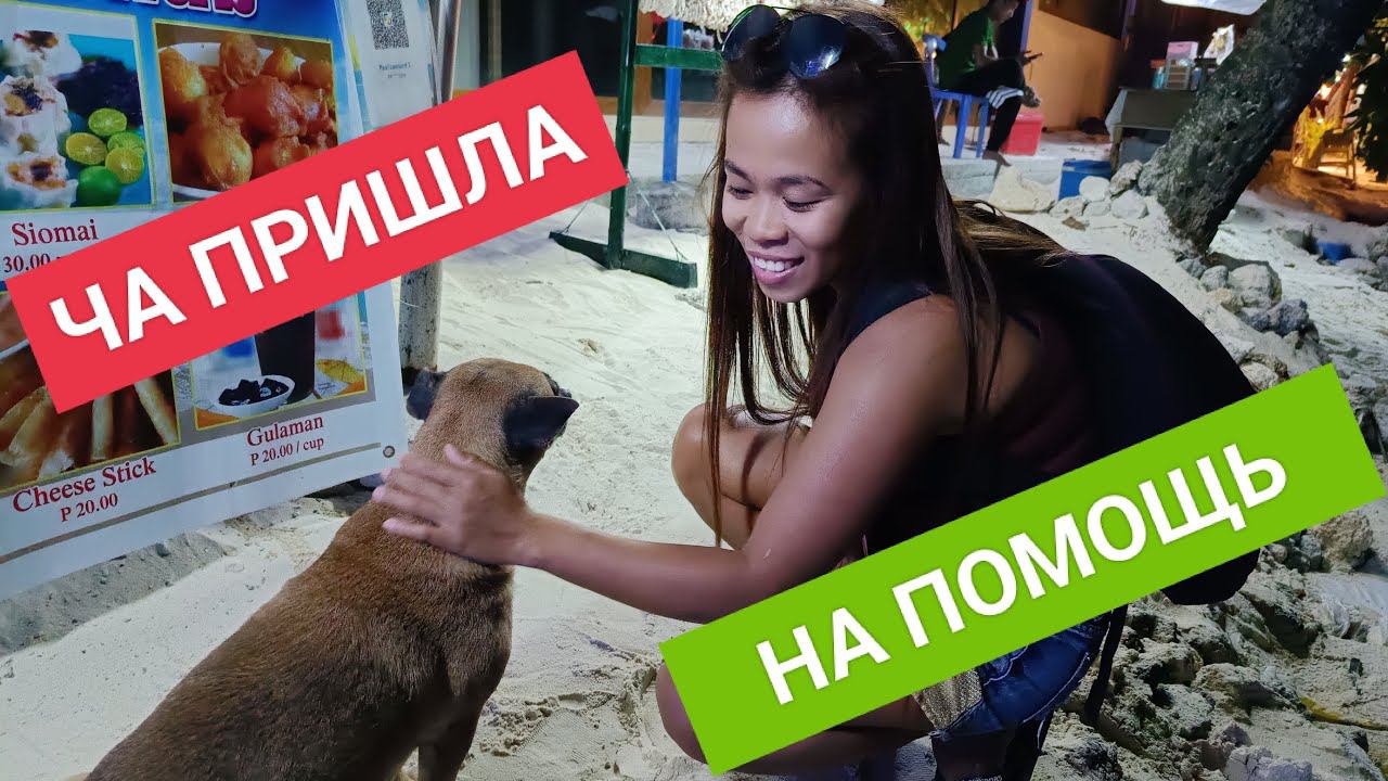 Стрим! Дима в шоке! Ча пришла на помощь! Что происходит? смотреть онлайн