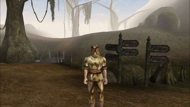 Morrowind console command how to get skooma so much as you want смотреть онлайн