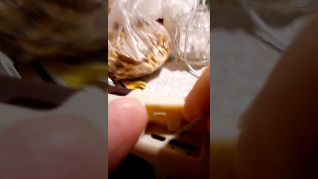 VID 20230116 062804 смотреть онлайн