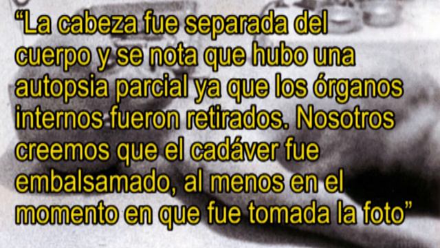 La foto de un Alien Real смотреть онлайн