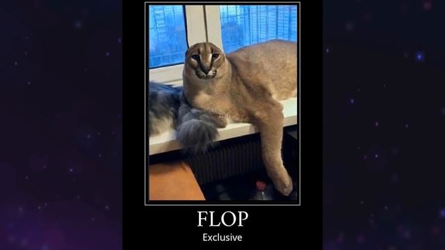 Quem é esse Gato Gigante? Meme Big Floppa смотреть онлайн