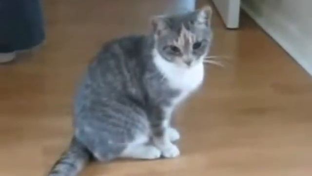 Тяжело с похмелья