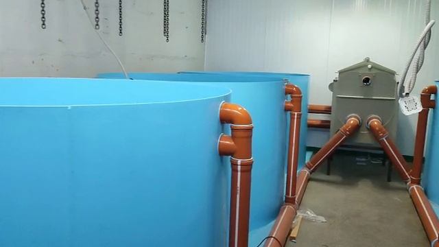 Сборка узв за 3 дня .