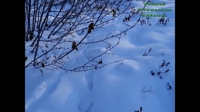 23 12 20 10 я проверка капканов,заяц,соболь смотреть онлайн