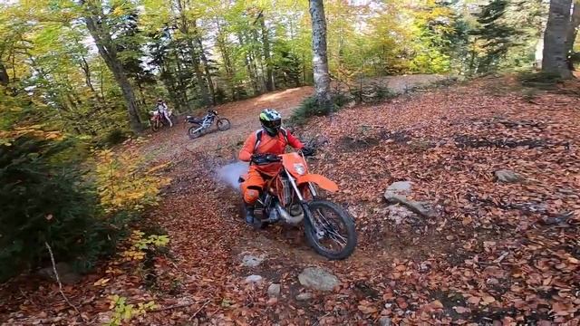 Hard Enduro With HONDA CRF250L