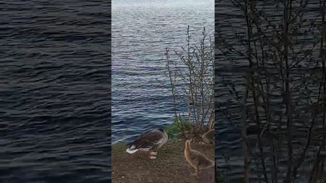 World. Берегите природу ! смотреть онлайн