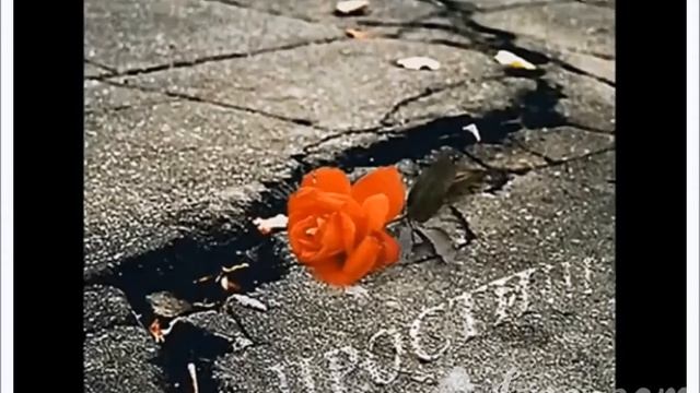 ЕСЛИ СМОЖЕШЬ ПРОСТИ Под МИНУС с УЛУЧШ ЗВУКОМ! исп А Лебедев Видео от 04 04 2021г смотреть онлайн