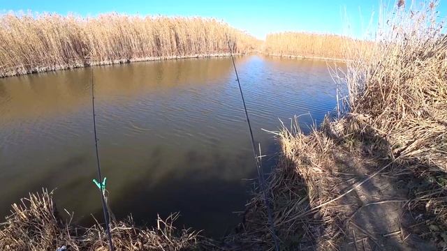 ТАРАНЬ клюет как из ПУЛЕМЕТА! Выезд за Таранькой ОСЕНЬЮ! смотреть онлайн