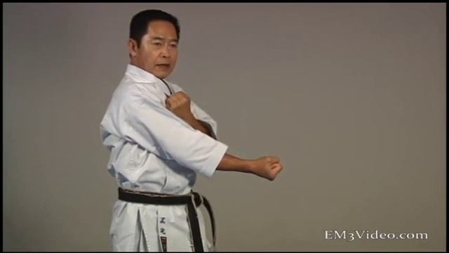 Karate Shito Ryu Kata DVD Set Vol-1 by Kunio Miyake смотреть онлайн