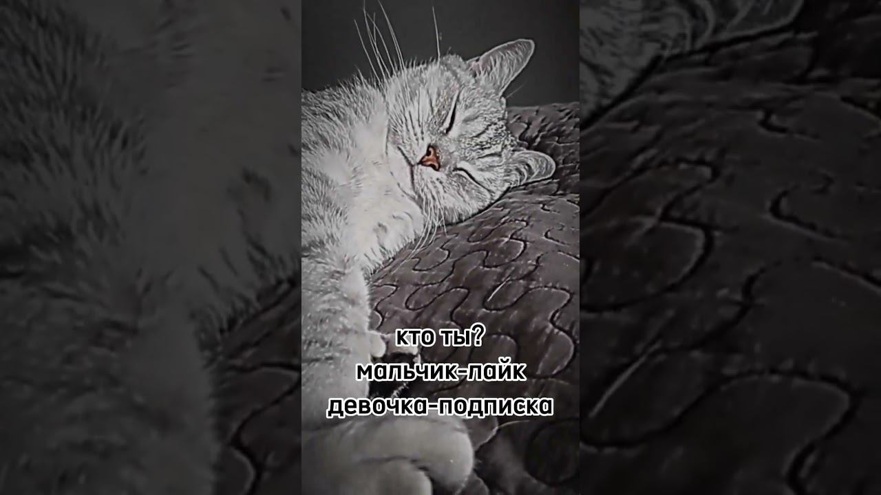 Кто ты? #shorts смотреть онлайн