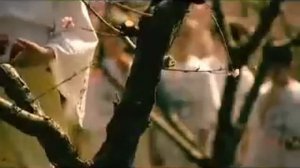 Люди, ликуйте! Сербские пасхальные песнопения.flv