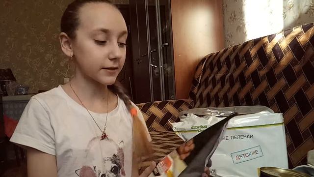 Что нужно для появления собаки ? | Arina Lisitsa her pets смотреть онлайн