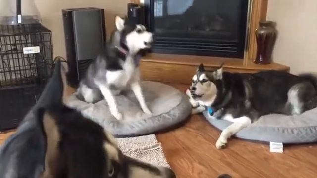 #7 топ 5 приколов снятых на камеру угар