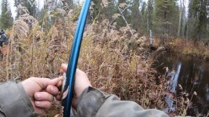 В попытке найти и поймать хариуса.Река первая.