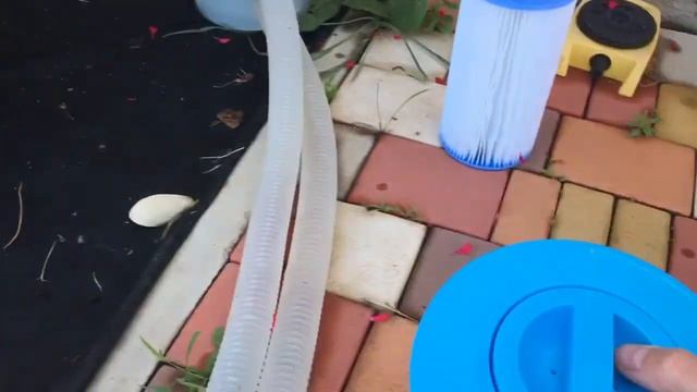 Как сделать чтоб вода в бассейне всегда была чистой смотреть онлайн