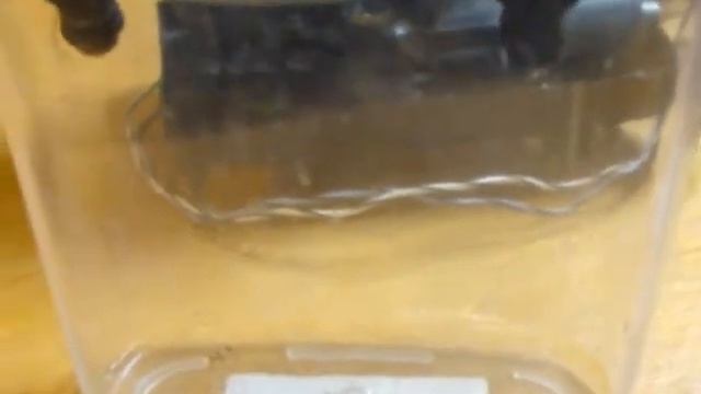 Ford Escape Maverick Tribute Mariner Проверка ЭБУ PCM РСМ YL8F-12A650-RF YL8F 12A650 RF YL8F12A650R смотреть онлайн