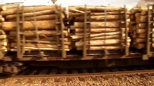 M 92204 {madeira} Tui-Leirosa CelBI a reboque da LD Euro 4000 6005 Takargo (Devesas - 20.04.2018) смотреть онлайн