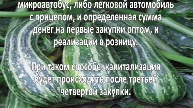 Выращивание кабачков. Бизнес идея смотреть онлайн