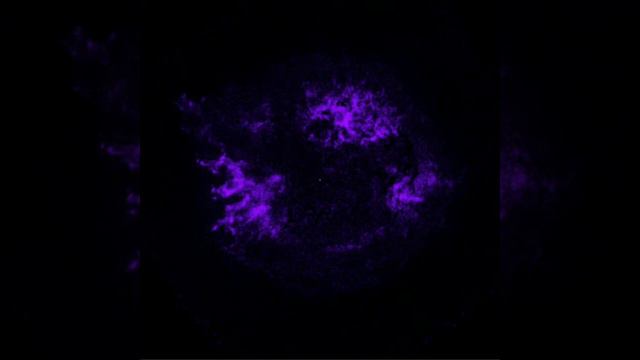Cassiopeia A Sonification смотреть онлайн