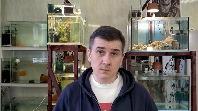 Аулофорус .... Перезагрузка!!! Повторение - МАТЬ учения смотреть онлайн